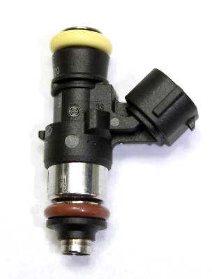 Bosch 2200cc EV14 spridare