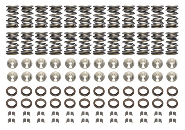 Ferrea dual valve spring kit VR38DETT